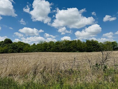 More wooded area