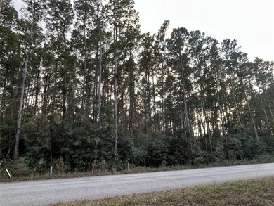 28655 Joseph Rd, Hockley, TX 77447 - photo 2