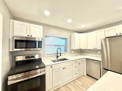 120 Grace St, Crystal Beach, FL 34681 - photo 6