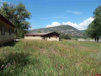 1160 County Road 250, Durango, CO 81301 - photo 4