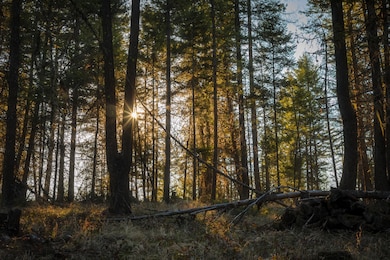 2019_04_30 Whitefish Hills-1-6