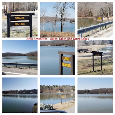 20 Lots in Cherokee Village, Cherokee Village, AR 72529 - photo 5