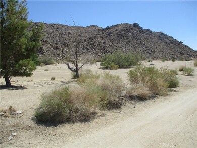 6888 Peterson Rd, Twentynine Palms, CA 92277 - photo 7