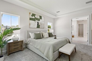 4517 Foley Grove Dr, Valrico, FL 33596 - photo 5