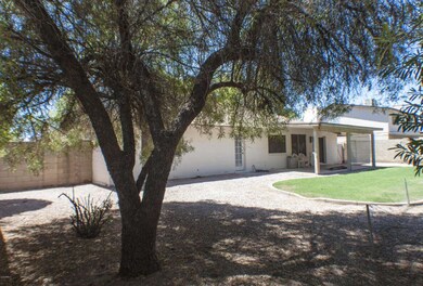 Backyard 5