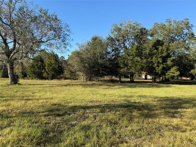 10534 Hufsmith Rd, Tomball, TX 77375 - photo 4