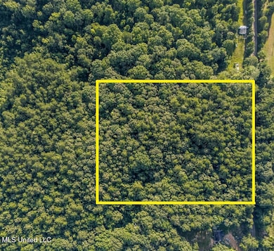 1510 Sulphur Springs Rd, Camden, MS 39045 - photo 2