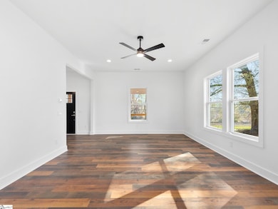 202 S Howard Ave, Landrum, SC 29356 - photo 5