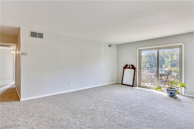 Spacious living room leading to terrace. New carpe
