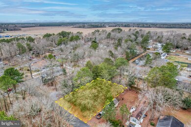 C19 Brach St, Georgetown, DE 19947 - photo 4