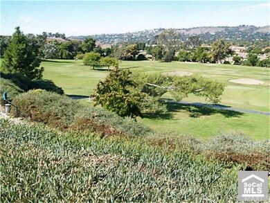 Panoramic Views