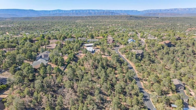 dji_fly_20250626_155404_75_1751065417438