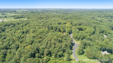 DJI_0006