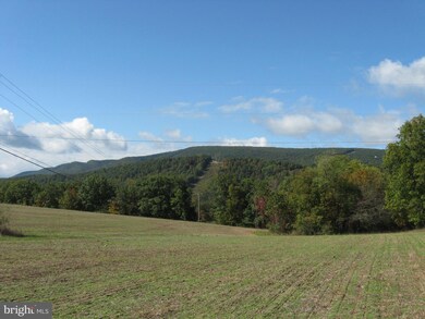 0 Fish Hatchery Rd unit WVMO117550, Berkeley Springs, WV 25411 - photo 5