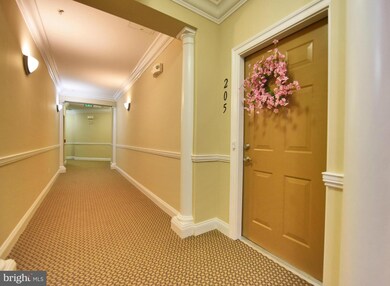 7305 Brookview Rd unit 205, Elkridge, MD 21075 - photo 4