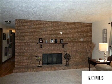520 Southgate St, Lincoln, IL 62656 - photo 6