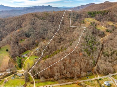 99999 Bay Horse Trail, Candler, NC 28715 - photo 7