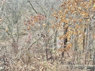 0 Duncan Rd, Alvaton, KY 42122 - photo 4