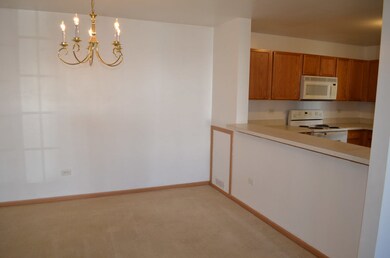 1437 Mcclure Rd unit 203, Aurora, IL 60505 - photo 6