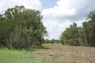 0 St Delight Rd unit 23357568, Paige, TX 78659 - photo 7