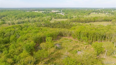 0 TRACT #1 Tappmeyer Rd, Owensville, MO 65066 - photo 3