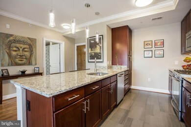 The Isabella At Monticello Mews unit 410, Alexandria, VA 22312 - photo 7