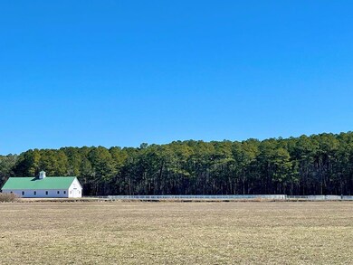 Lot 1 Eagle Dr unit 1, New Church, VA 23415 - photo 7