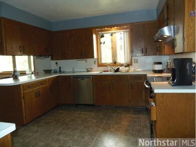 26093 County 29, Long Prairie, MN 56347 - photo 7