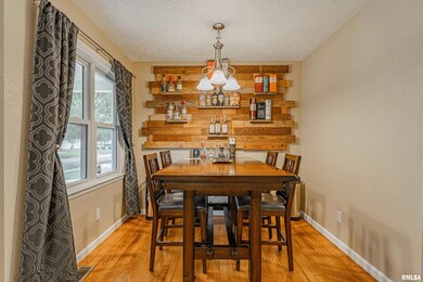 326 Williamette Ave, Lincoln, IL 62656 - photo 6