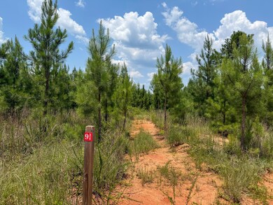 0 Buckhead Rd, Blair, SC 29015 - photo 7