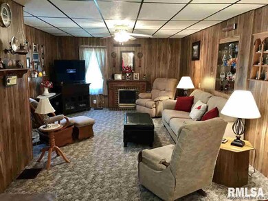 102 E Union St, Virginia, IL 62691 - photo 6