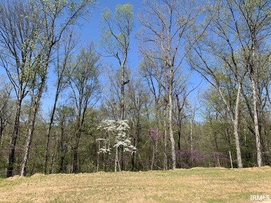 10041 Horseshoe Bend Way, Evansville, IN 47725 - photo 6