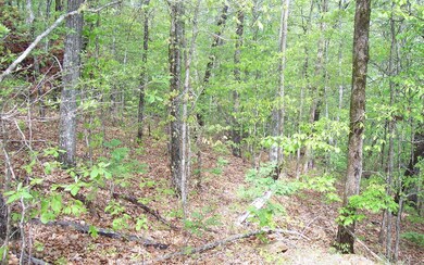 Additional View