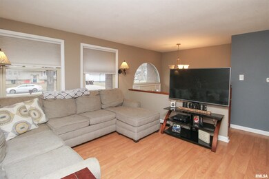 219 Rhoads Ave, Lincoln, IL 62656 - photo 5