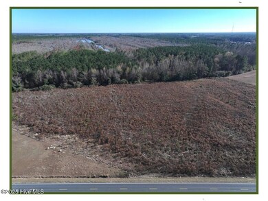 Lot 2 Wire Grass Rd, Orrum, NC 28369 - photo 2