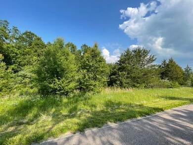 0 Napa unit 23027723, Rolla, MO 65401 - photo 3