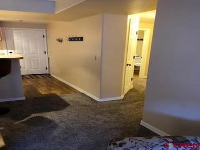1700 County Road 203 unit B-305, Durango, CO 81301 - photo 7