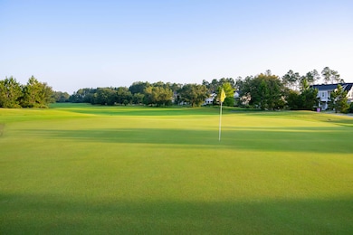 200 Green Heron St unit Lot 36, Vernon, FL 32462 - photo 2