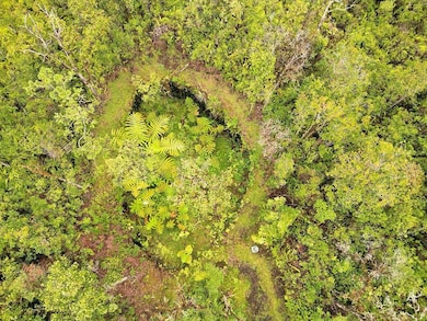 Skylight entrance to a lava tube at the back corner of the property. (skylight is so large it is on a few property corners.