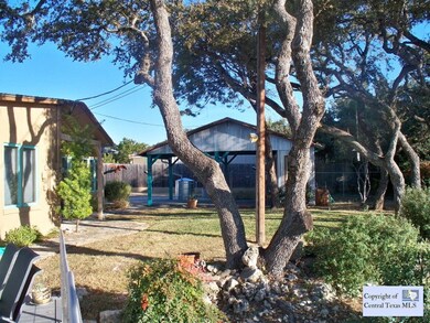 Back yard: Mature tall oaks