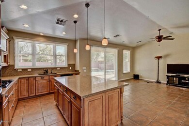 Gourmet Style Kitchen