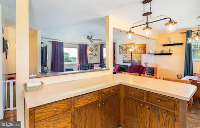 32 Juniper Ln, Temple, PA 19560 - photo 7