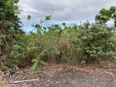 Hune Kai side of the lot with ocean view