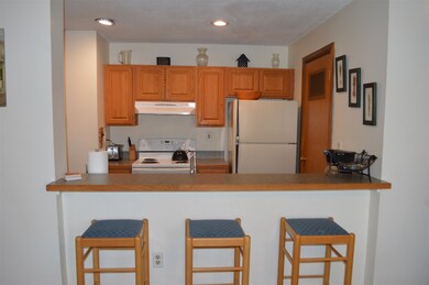 5 Northbrook Village Rd unit E-15, Dover, VT 05356 - photo 7