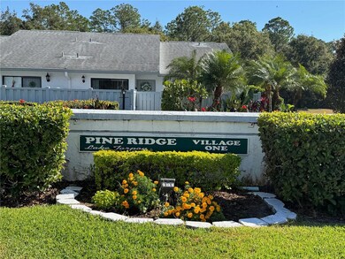 1372 Pine Ridge Cir E unit H3, Tarpon Springs, FL 34688 - photo 3