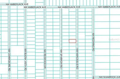 TBD Narcissus Rd, Dunnellon, FL 34431 - photo 4