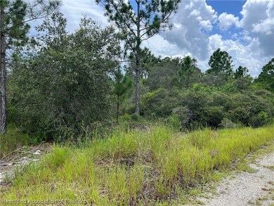 373 Showboat Ave, Lake Placid, FL 33852 - photo 4