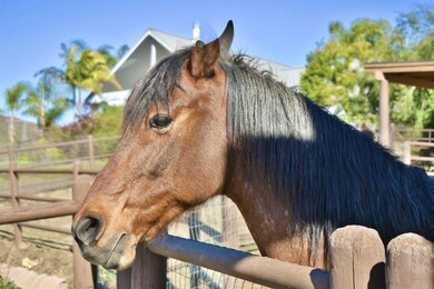 3637 Copper Crest Rd, Encinitas, CA 92024 - photo 3