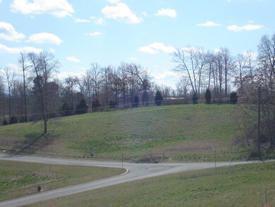 LOT 59 Washita Ln, Rutledge, TN 37861 - photo 4