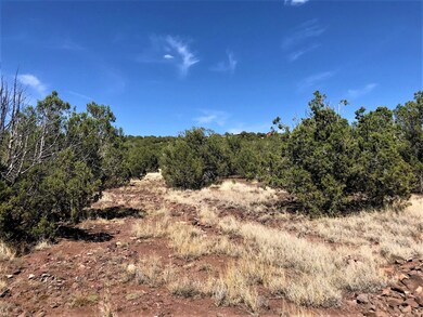 48275 N Steve Ln, Ash Fork, AZ 86320 - photo 7